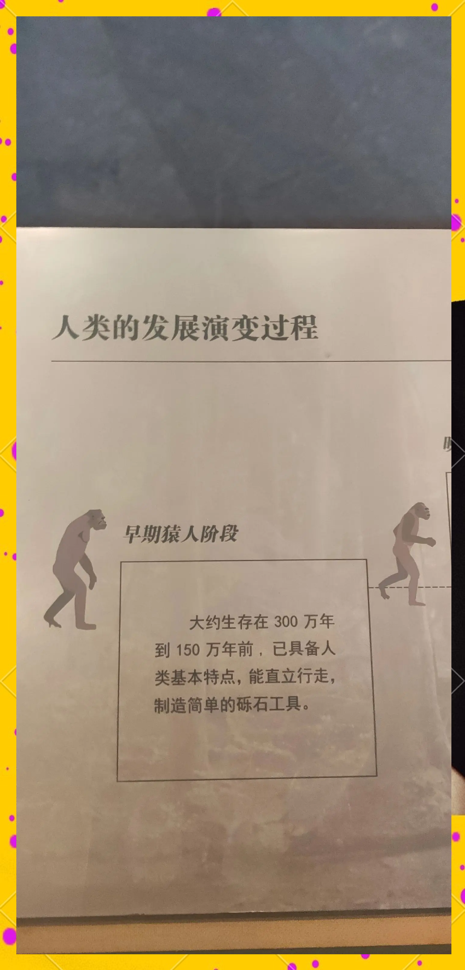 竞技体育带动了全球足球市场的发展