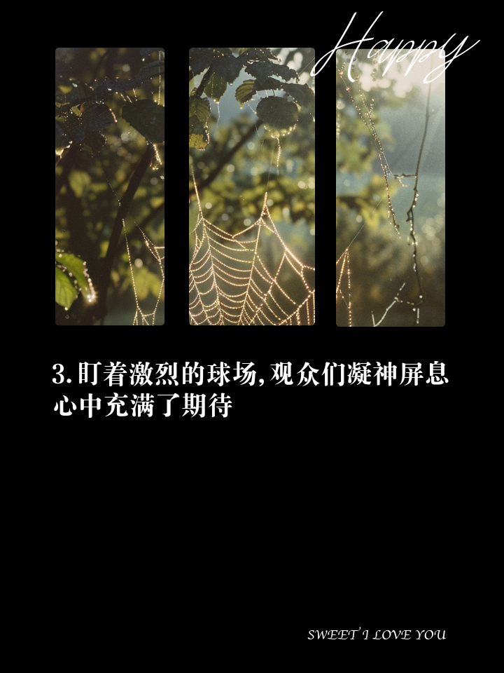 包含精彩纷呈，赛场上的每一刻都值得回味的词条