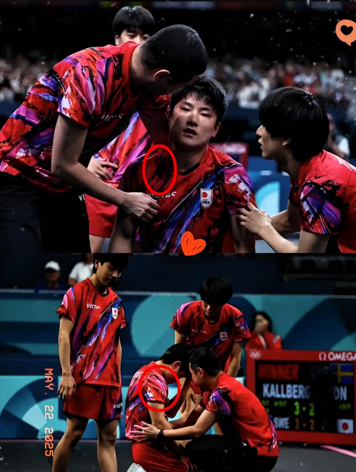 日本乒乓球队险胜英国乒乓球队,张本智和关键制胜的简单介绍 日本乒乓球队险胜英国乒乓球队,张本智和关键制胜的简单介绍