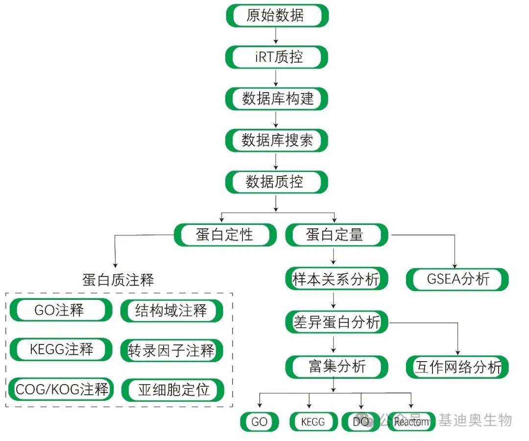 pg电子试玩网站-游泳盘口突变，业内人士深度分析的简单介绍