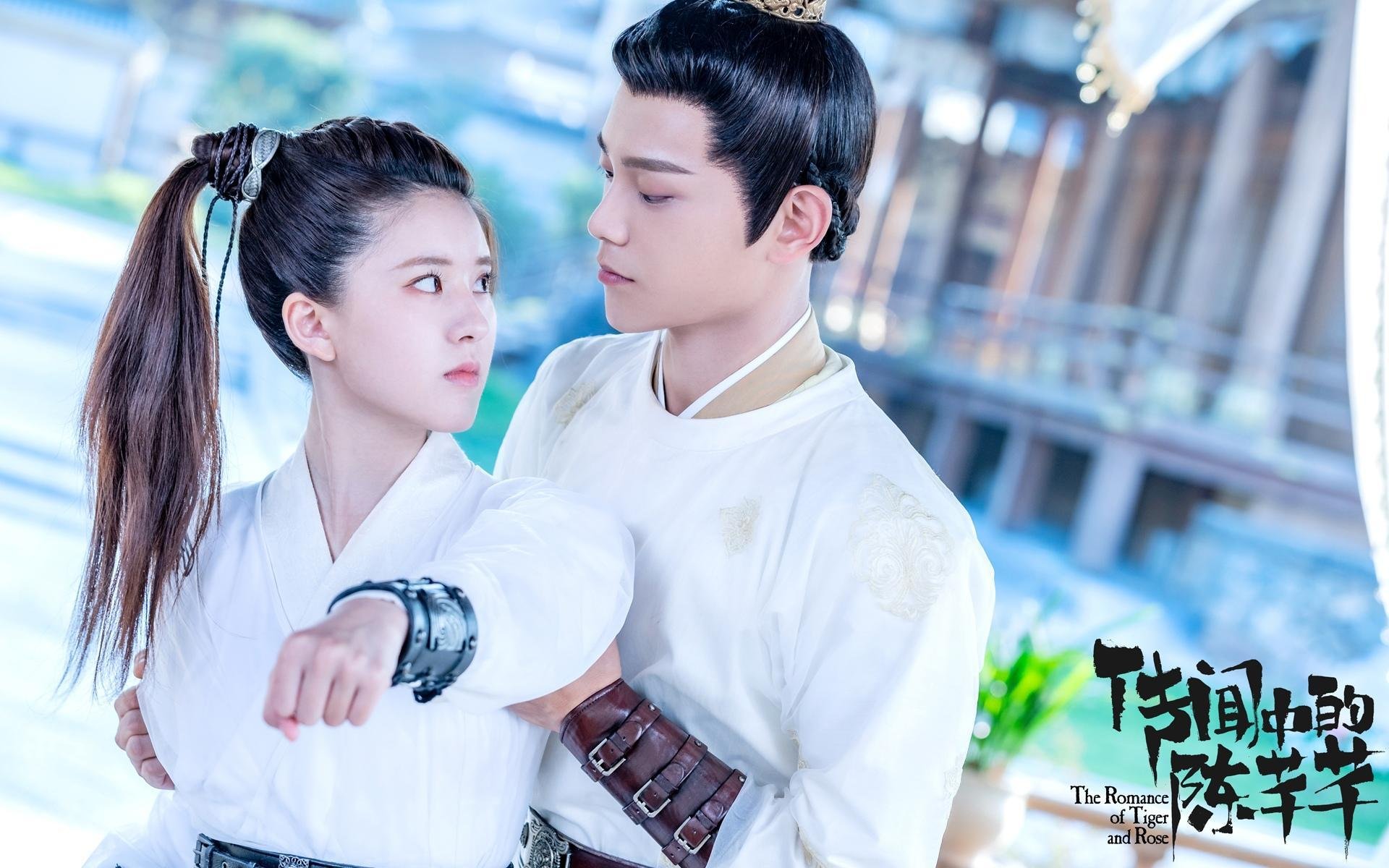 pg电子下载-欧洲之巅，天山雪莲，当欧冠决战的血脉偾张，照见新疆男篮如何刺破王朝暮色