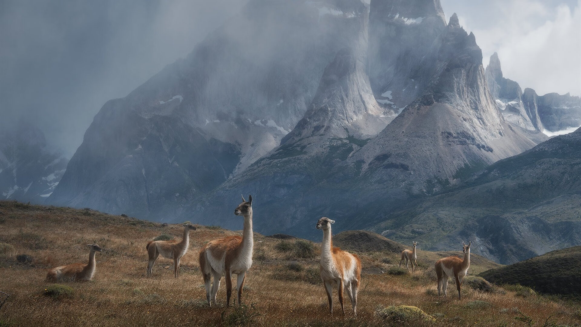 pg电子试玩网站-伊萨克爆发！莱比锡红牛逆转西班牙豪门