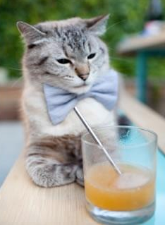 pg电子试玩-戈贝尔筑起盐湖城长城，爵士横扫76人背后的防守革命