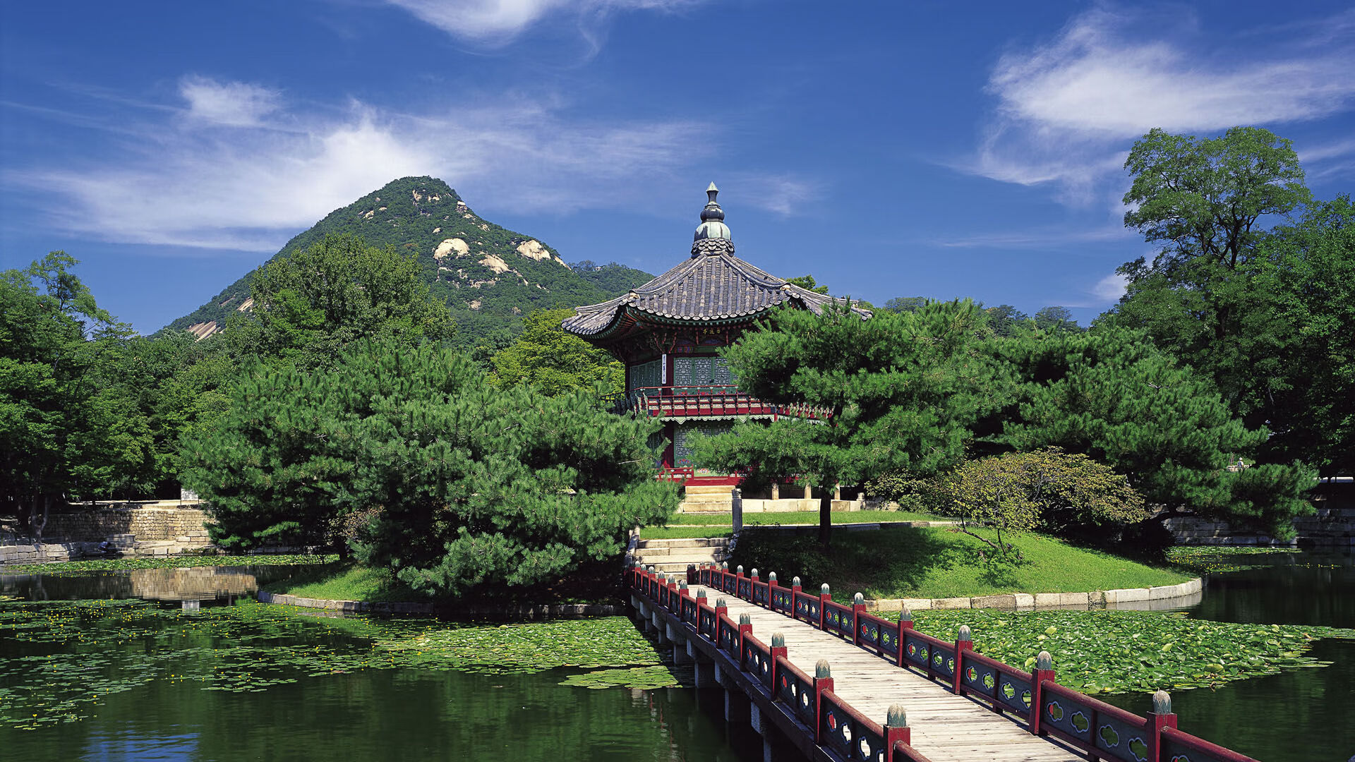 pg电子试玩网-詹姆斯一手掌控，公牛与辽宁队的跨界大战