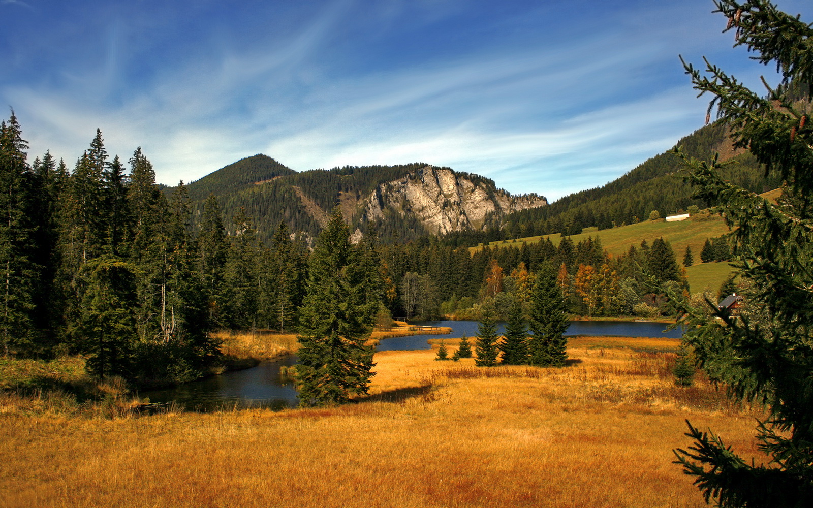 西班牙对阵乌克兰，巴斯托尼的百场里程碑之战