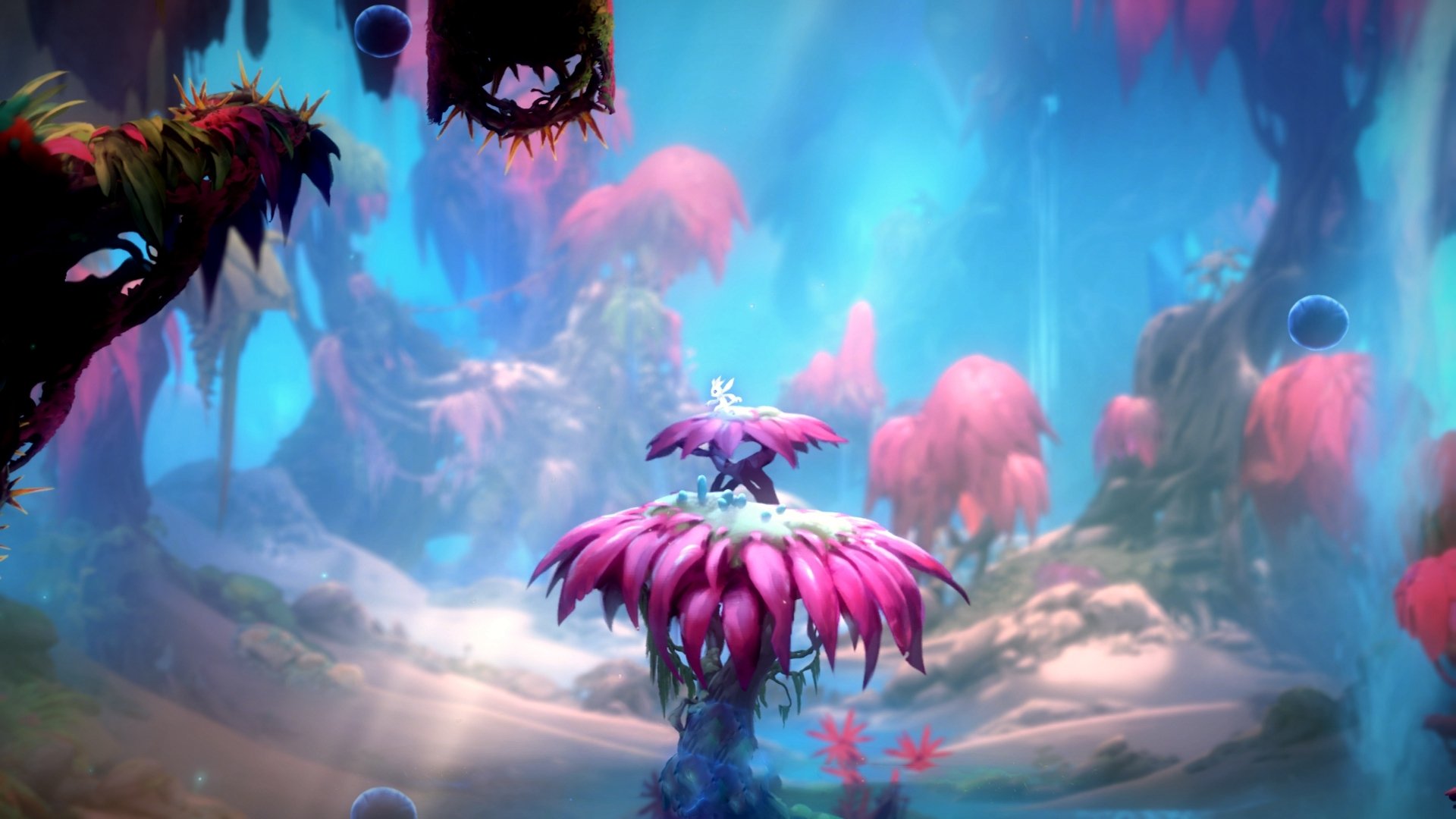 阿什拉夫闪耀全场，佛罗伦萨压哨绝杀美国队