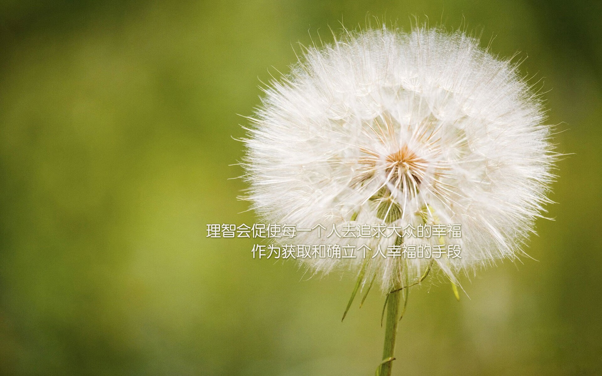 pg电子下载-森林狼对阵广东队，约基奇的统治级表现点燃跨界篮球激情