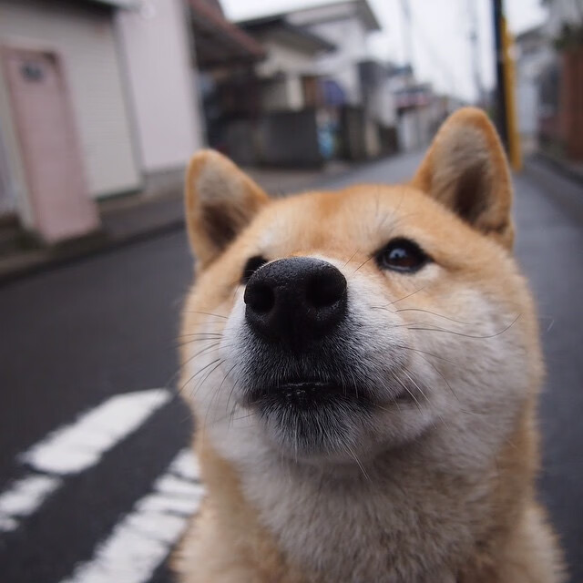 乔治巅峰之夜,魔术碾压绿军展示冠军相