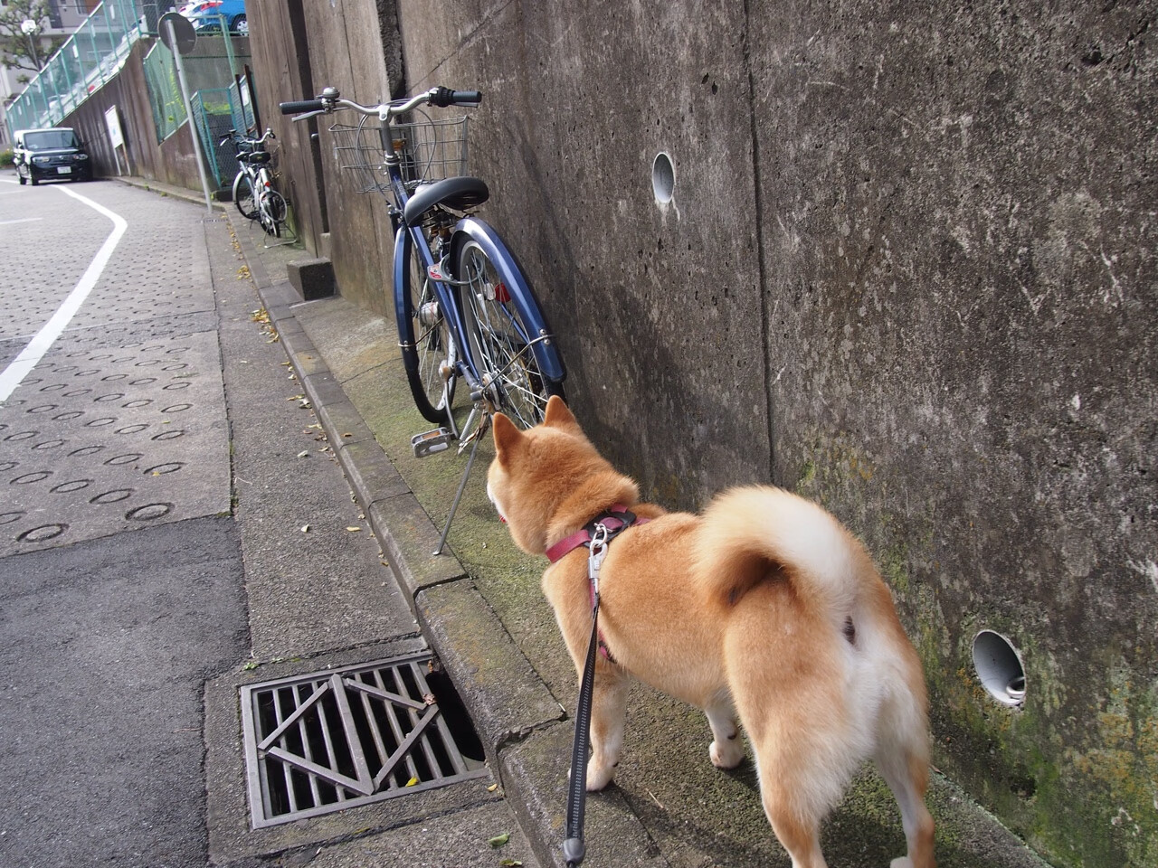 欧冠烽火跨界映照 热火式高压逼抢碾过辽篮铁阵