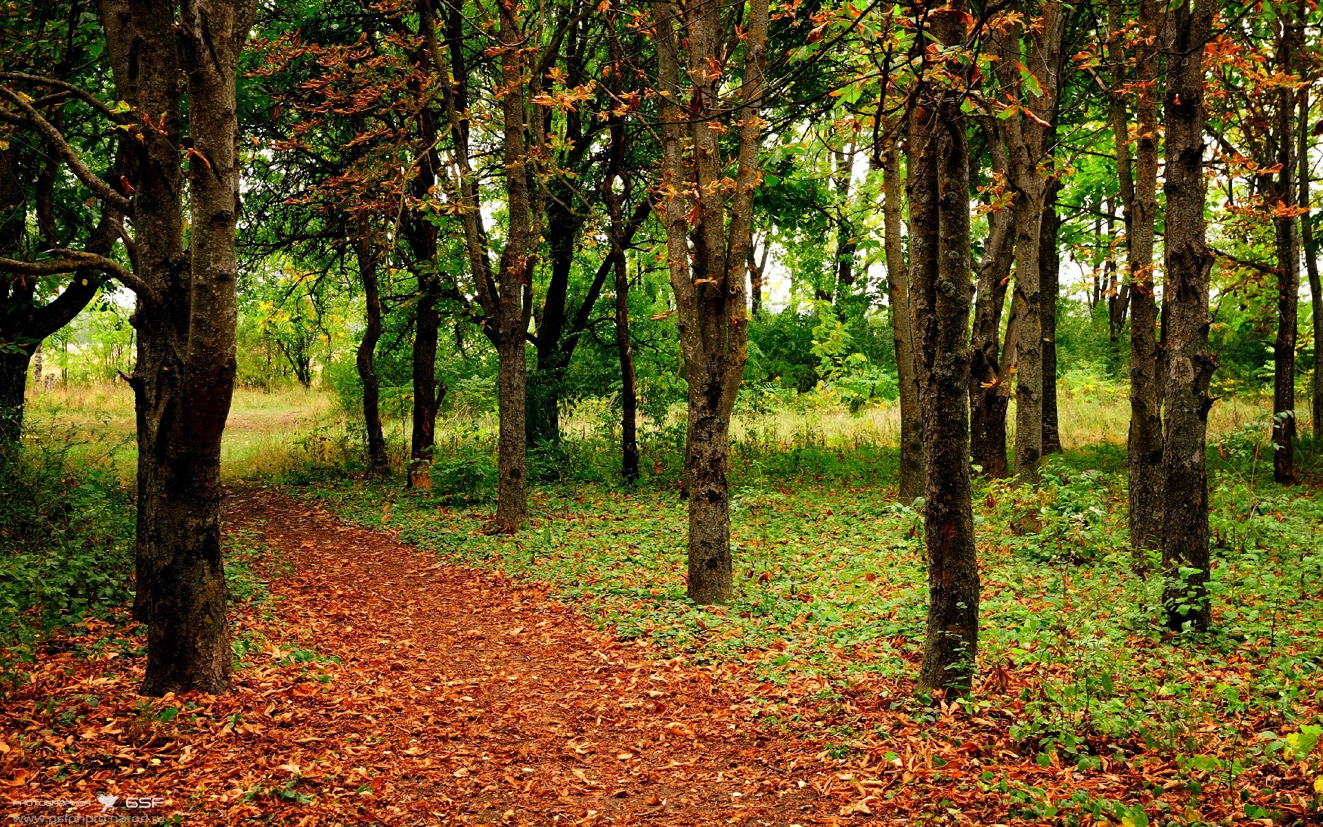 绞杀三狮,解析比利时用混凝土防线终结英格兰的年度焦点之战