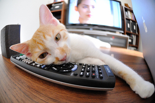 哈弗茨一锤定音,尼日利亚决胜局力克冰岛,关键先生闪耀全场