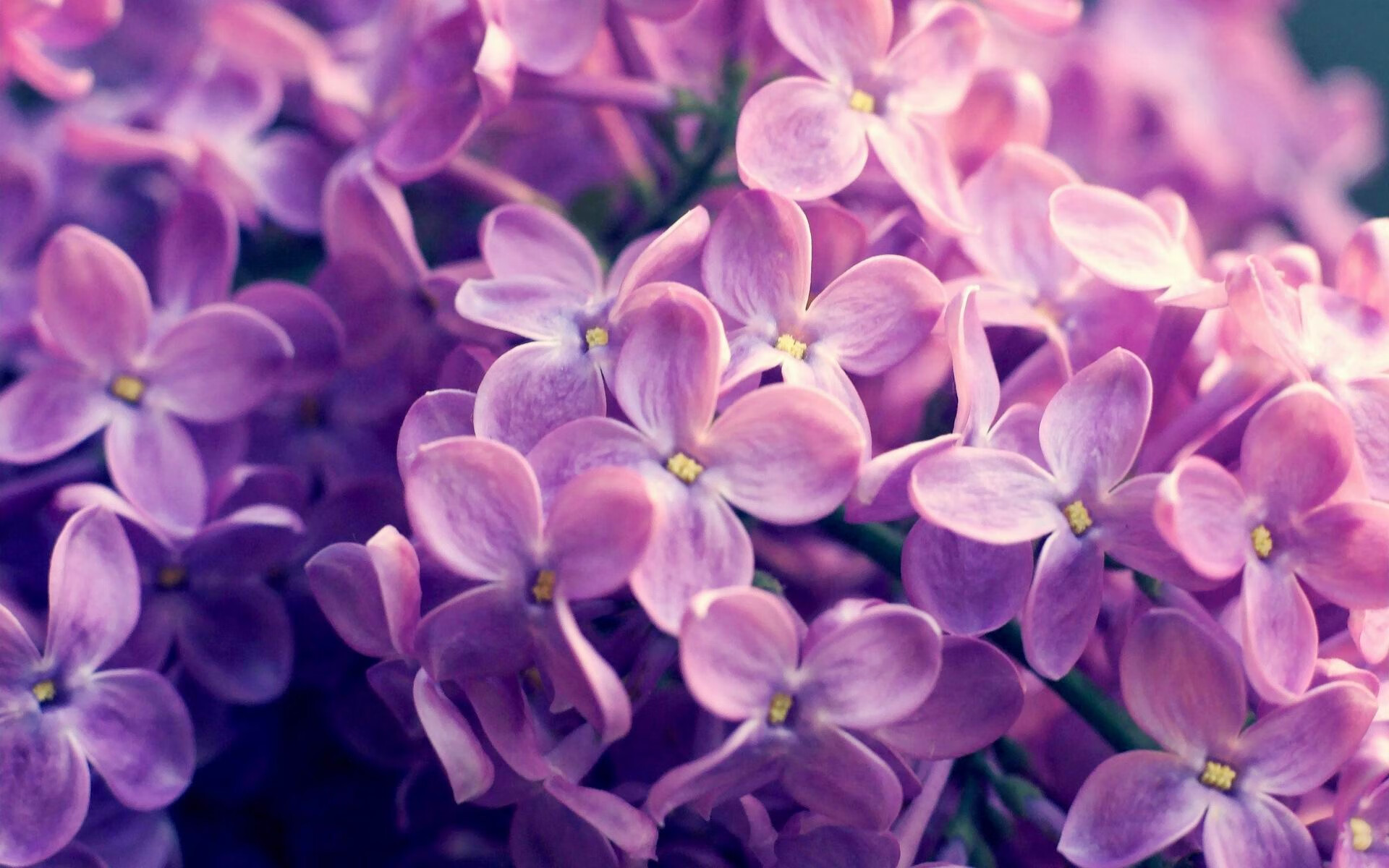 巴黎铁塔下的救赎之光，孔德如何用一个动作完成灵魂的重塑