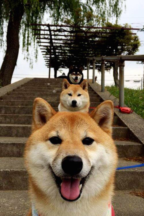 pg电子试玩-突尼斯奇迹之夜，加时鏖战力克曼城，迪亚斯加冕关键先生