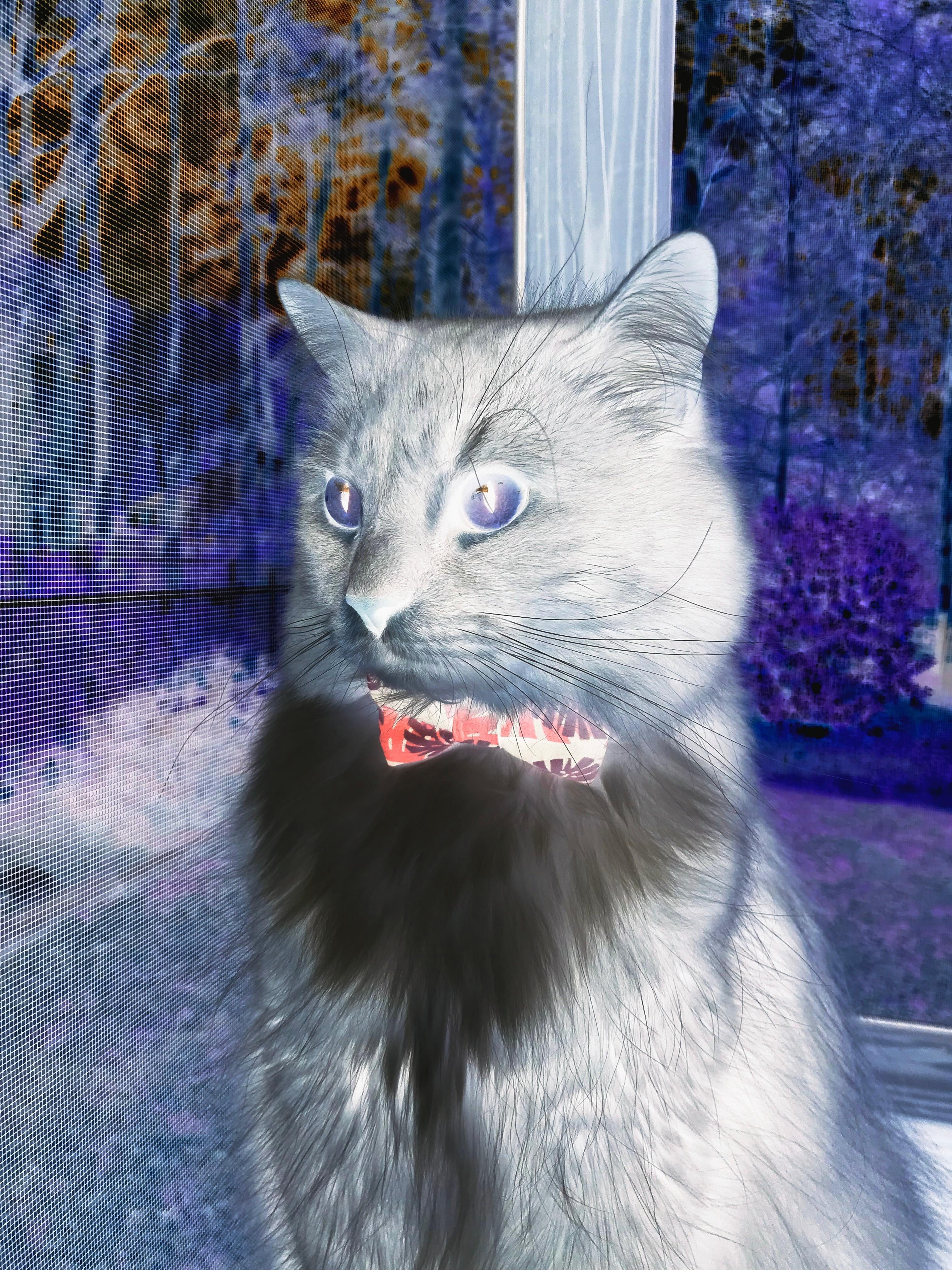 pg电子试玩网站-欧冠半决赛焦点战？广厦队客场强势带走北京队，CBA季后赛再掀狂潮