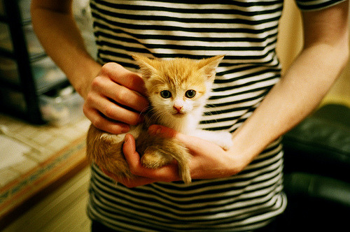 欧冠半决赛焦点战？广厦队客场强势带走北京队，CBA季后赛再掀狂潮