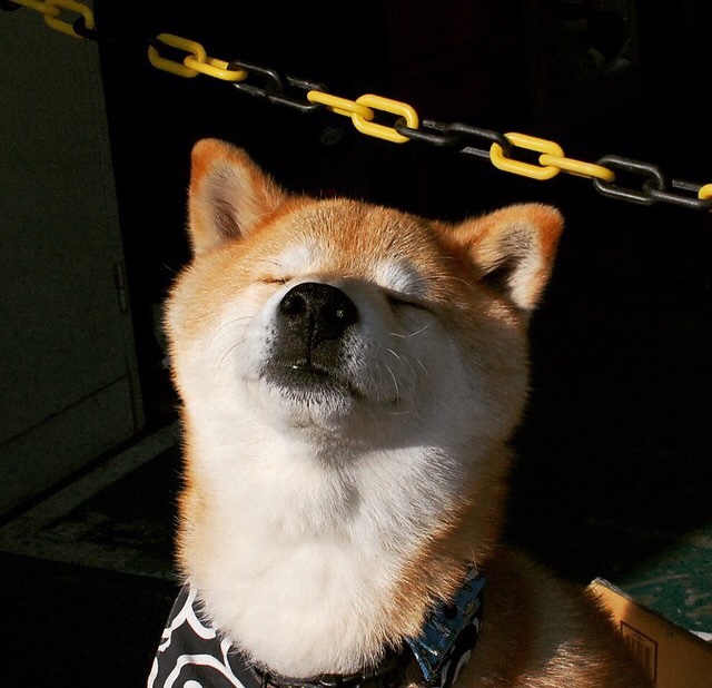 -班凯罗爆发破网 篮网关键战突围新疆精神的启示