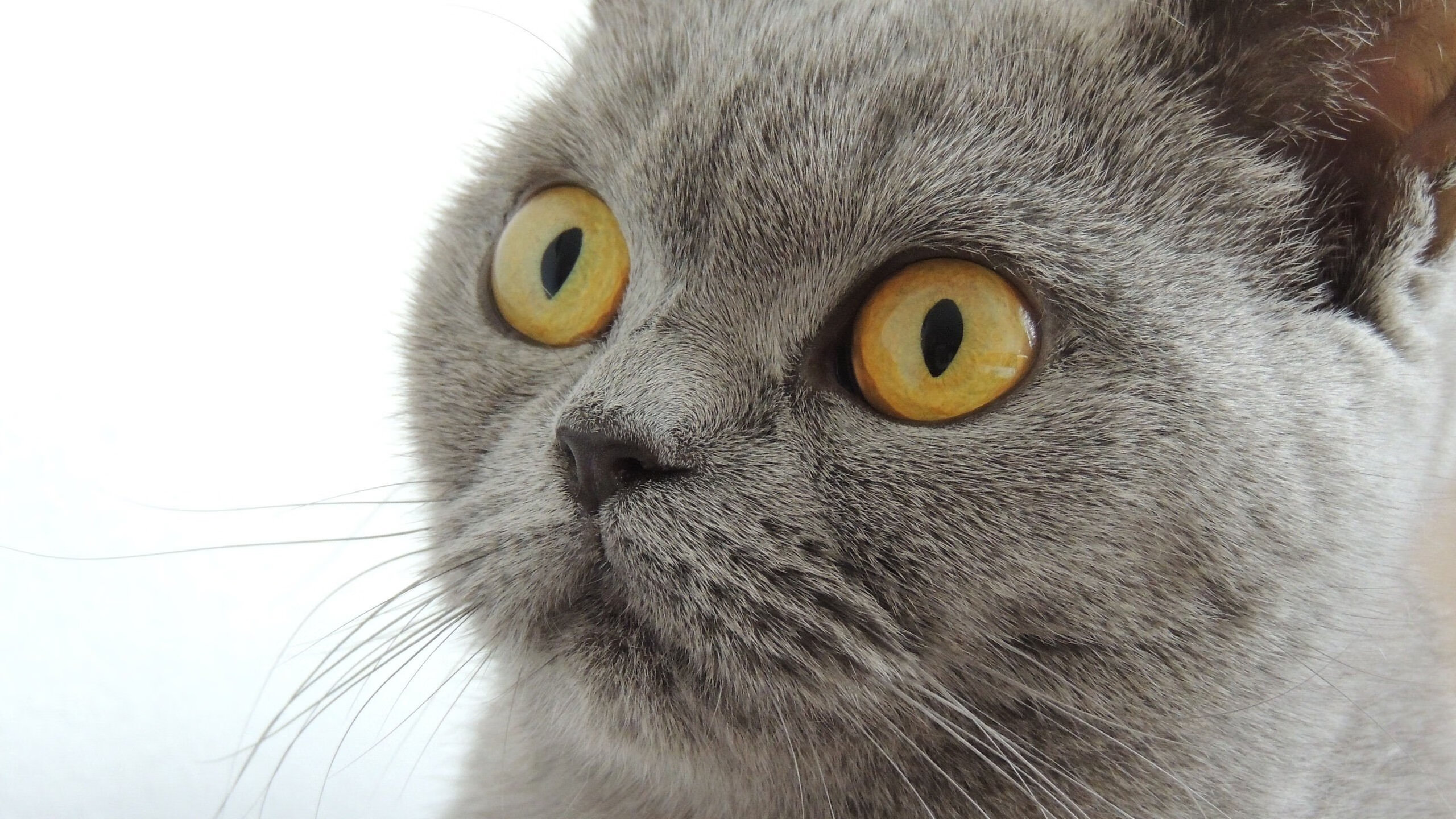 雷霆末节风暴轰垮活塞，乔治单节19分让生死战提前进入垃圾时间