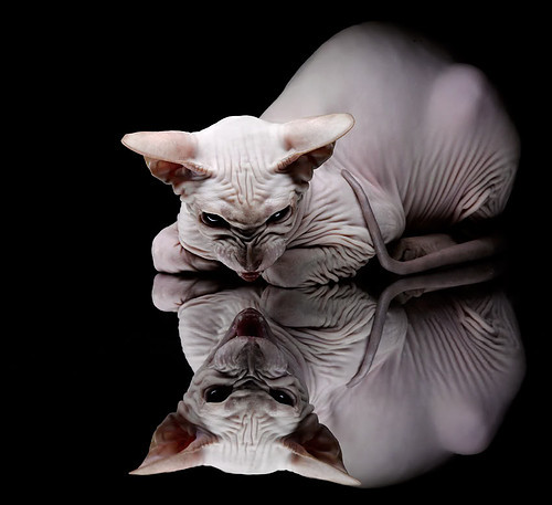 pg电子下载-绝境时刻，当京多安与瑞典并肩教世界如何强压