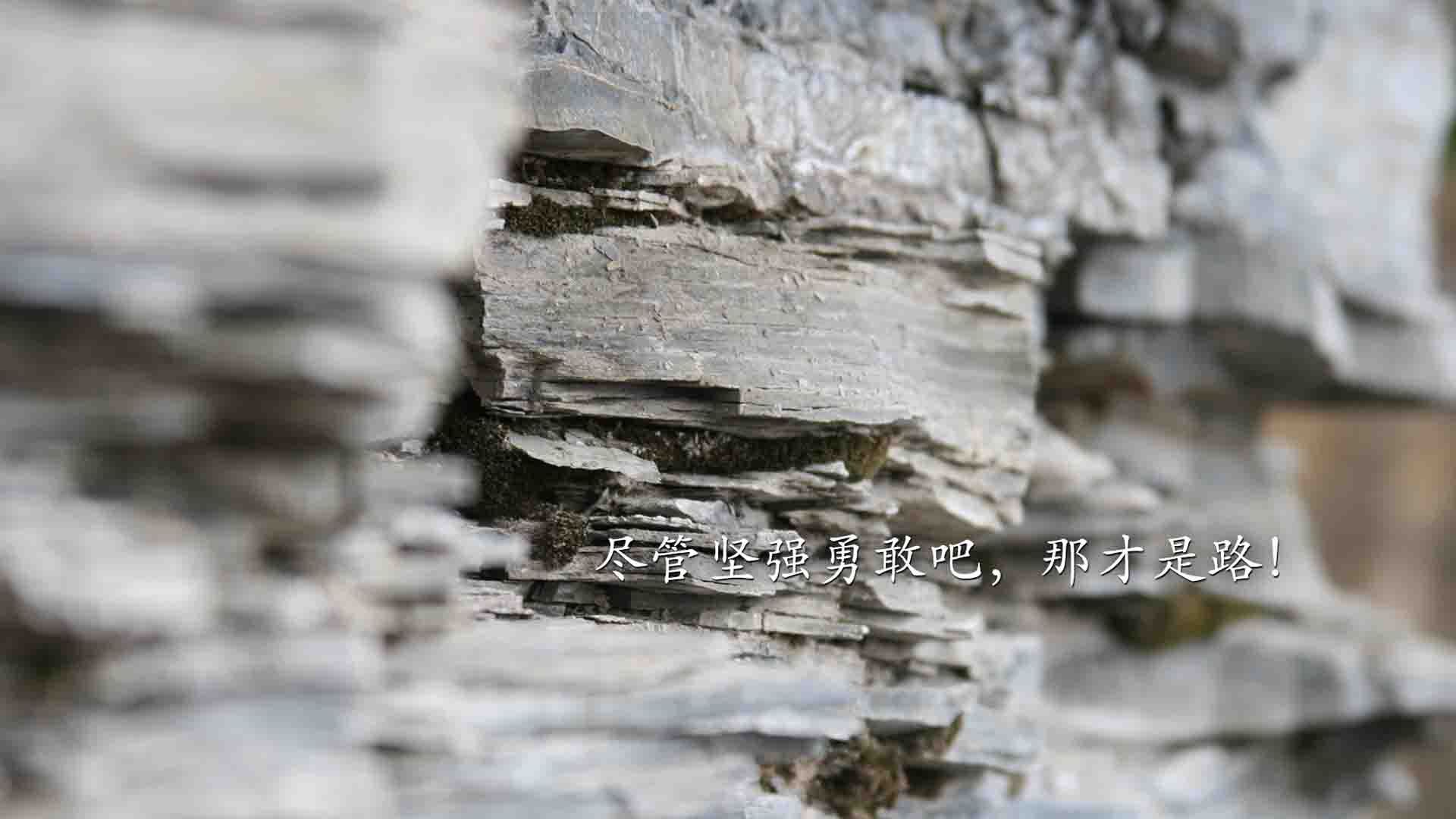 pg电子娱乐-北欧雄狮决杀中亚狼，2026世界杯A组，挪威绝杀乌兹别克斯坦，库尔图瓦守关成就攻守转换教科书