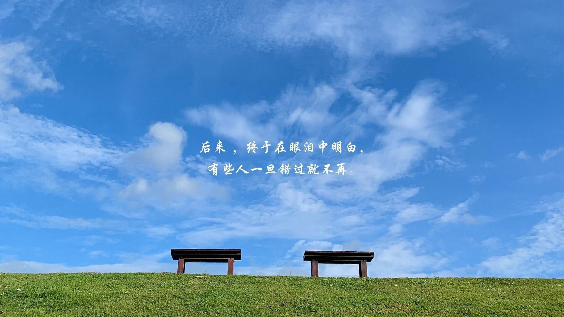 南美双雄变独角戏,秘鲁沙漠风暴卷翻巴西,塔雷米独造三球闪耀2026世界杯B组